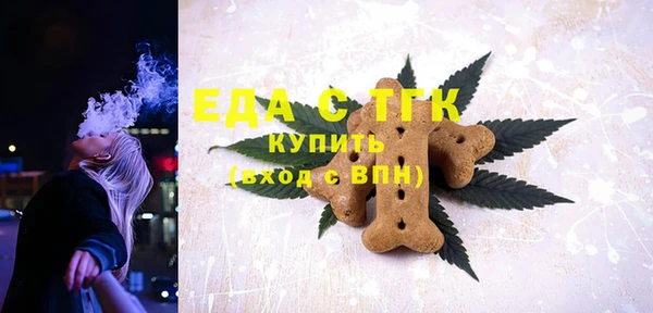 хмурый Богородицк